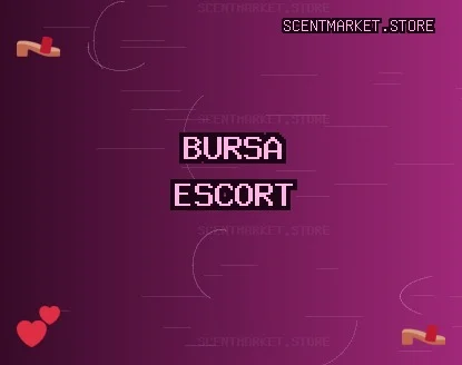 Bursa Escort: Gemlik Escort, Orhangazi Escort, Yıldırım Escort