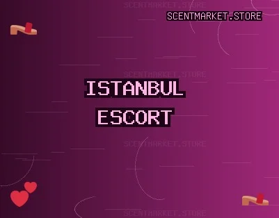 İstanbul Escort: Maltepe Escort, Tuzla Escort, Fatih Escort